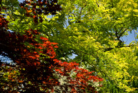 080608_N20_4420