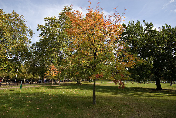 081010_N20_0697