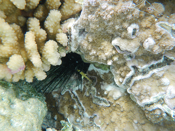 DSCN0778