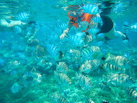 Bora Bora