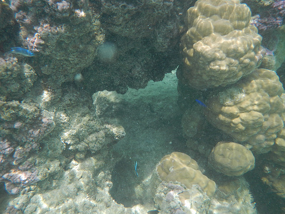 DSCN0730