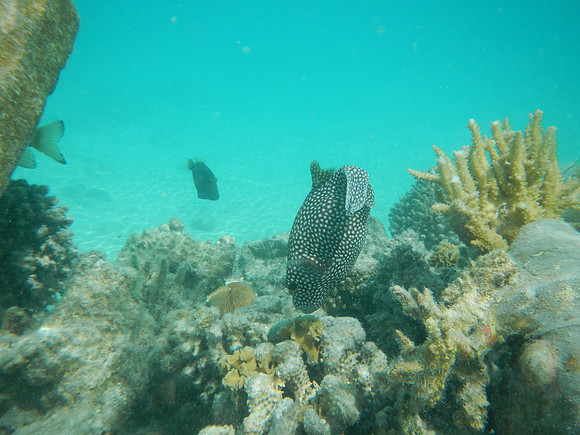 DSCN0248