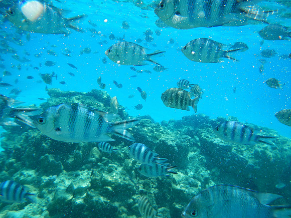 DSCN0568