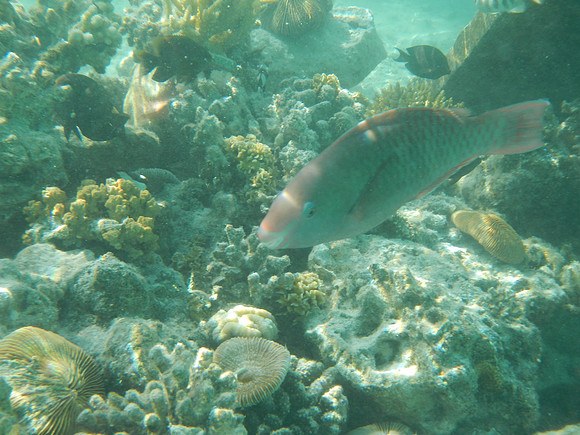 DSCN0408