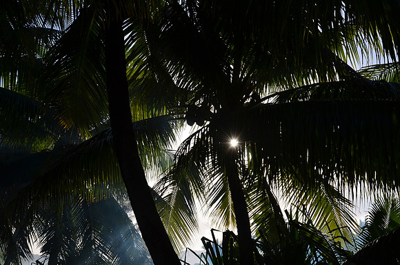 D7K_9390