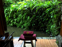 Bali - Ubud - ONEWORLD retreats - Kumara
