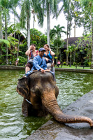 Taro Elephant Sanctuary Bali