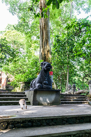 Monkey Forest Ubud