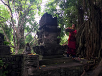 Bali - Ubud - ONEWORLD retreats - Kumara