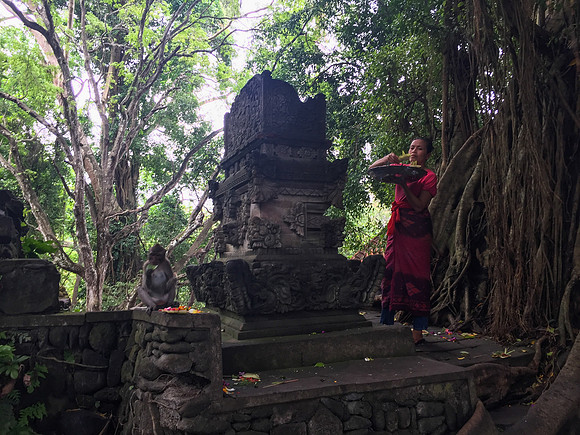 Bali - Ubud - ONEWORLD retreats - Kumara