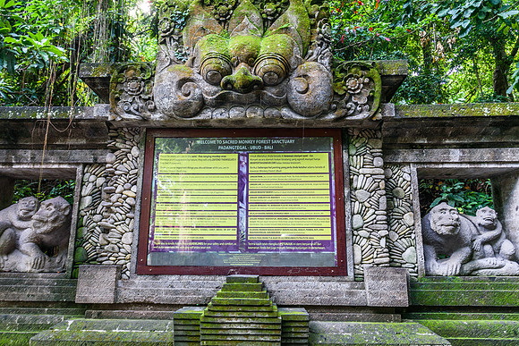 Monkey Forest Ubud