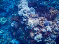Lembongan snorkeling adventure