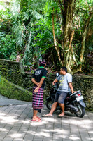 Monkey Forest Ubud