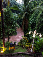 Monkey Forest Ubud