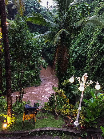 Monkey Forest Ubud