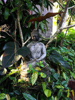Bali - Ubud - ONEWORLD retreats - Kumara