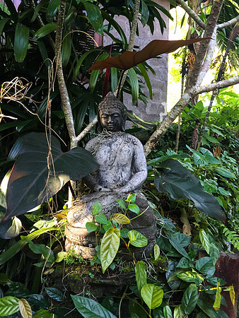 Bali - Ubud - ONEWORLD retreats - Kumara