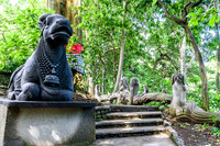 Monkey Forest Ubud
