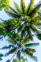 Bali - Ubud - ONEWORLD retreats - Kumara