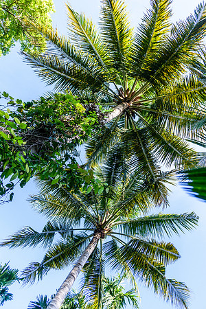 Bali - Ubud - ONEWORLD retreats - Kumara