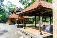Monkey Forest Ubud
