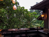 Monkey Forest Ubud