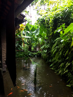 Bali - Ubud - ONEWORLD retreats - Kumara