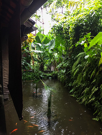 Bali - Ubud - ONEWORLD retreats - Kumara