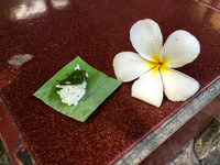 Bali - Ubud - ONEWORLD retreats - Kumara