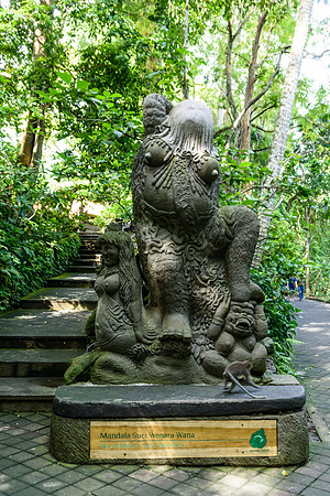 Monkey Forest Ubud