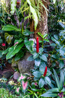 Bali - Ubud - ONEWORLD retreats - Kumara