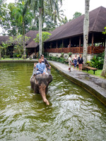 Taro Elephant Sanctuary Bali
