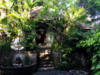 Bali - Ubud - ONEWORLD retreats - Kumara