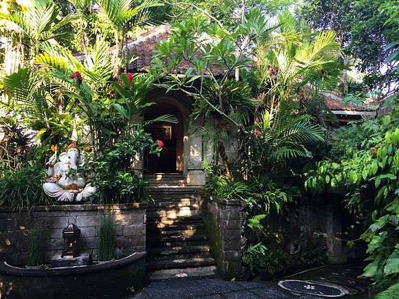 Bali - Ubud - ONEWORLD retreats - Kumara