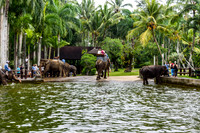 Taro Elephant Sanctuary Bali