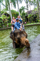 Taro Elephant Sanctuary Bali