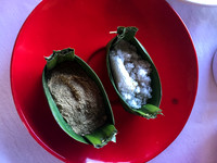 Bali - Ubud - ONEWORLD retreats - Kumara