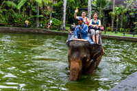 Taro Elephant Sanctuary Bali