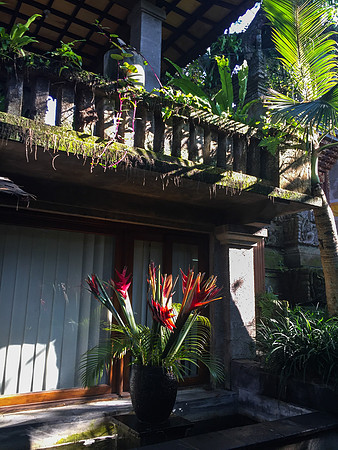 Bali - Ubud - ONEWORLD retreats - Kumara