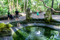 Monkey Forest Ubud