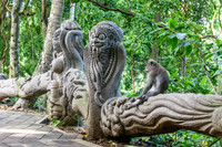 Monkey Forest Ubud