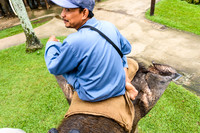 Taro Elephant Sanctuary Bali