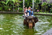 Taro Elephant Sanctuary Bali