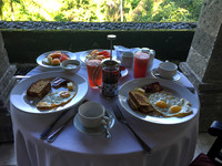 Bali - Ubud - ONEWORLD retreats - Kumara