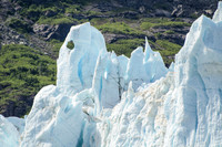Glacier Bay NP