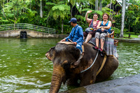 Taro Elephant Sanctuary Bali