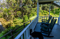 2016 Mendocino