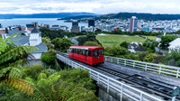 Wellington NZ