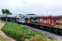 Trans Alpine Train