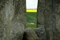 090425_N20_7053